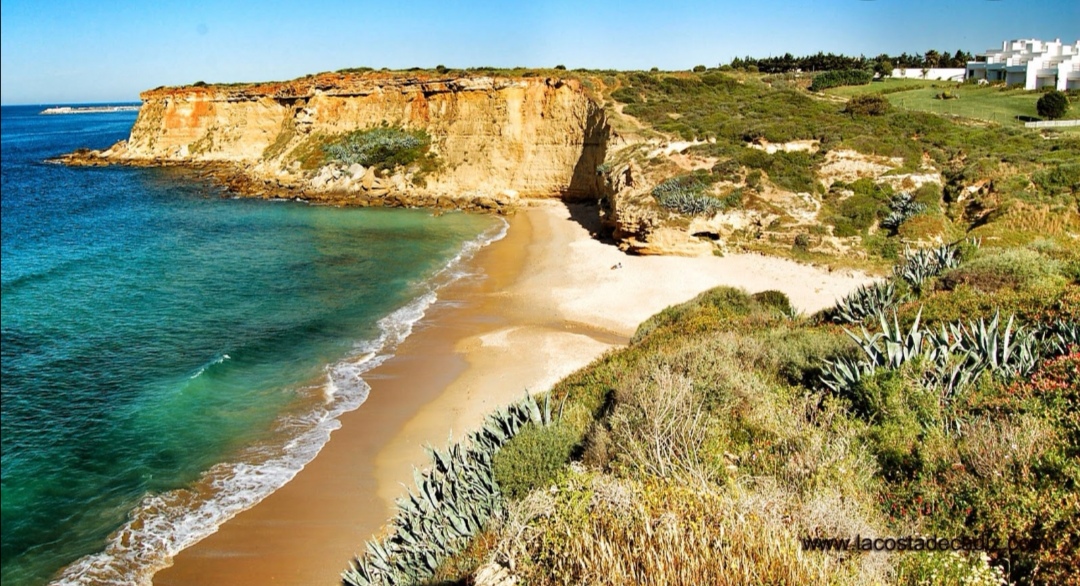 Cala Puntalejo